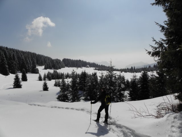 ciaspolatamillegrobbe201041.jpg