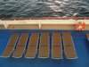 cruisebacelonamarseille20_small.jpg