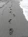 cuba2011101_small.jpg