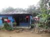 cuba2011110_small.jpg