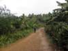 cuba2011112_small.jpg