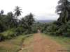 cuba2011114_small.jpg