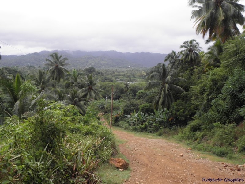 cuba2011115.jpg