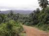 cuba2011115_small.jpg