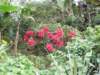 cuba2011117_small.jpg