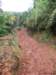 cuba2011119_small.jpg