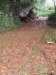 cuba2011120_small.jpg