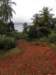 cuba2011122_small.jpg