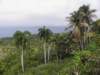 cuba2011125_small.jpg