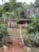 cuba2011130_small.jpg