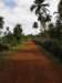 cuba2011131_small.jpg