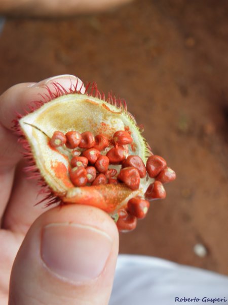 cuba2011136.jpg