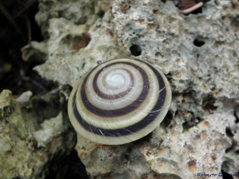 cuba2011138.jpg