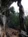cuba2011139_small.jpg