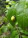 cuba2011143_small.jpg