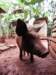 cuba2011152_small.jpg