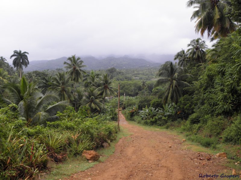 cuba2011153.jpg