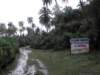 cuba2011158_small.jpg