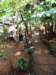 cuba2011171_small.jpg