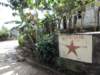 cuba2011177_small.jpg