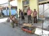 cuba201121_small.jpg