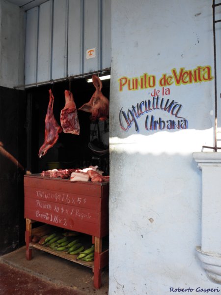 cuba201132.jpg