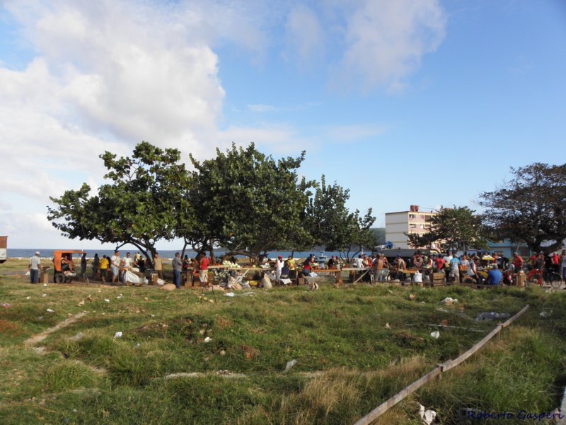 cuba201161.jpg