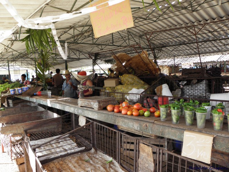 cuba201161.jpg