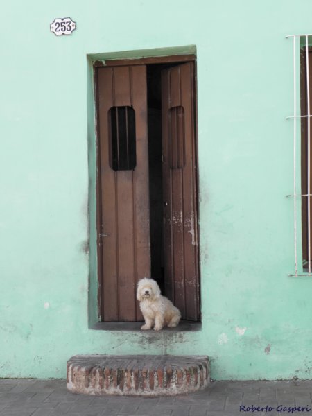 cuba20117.jpg