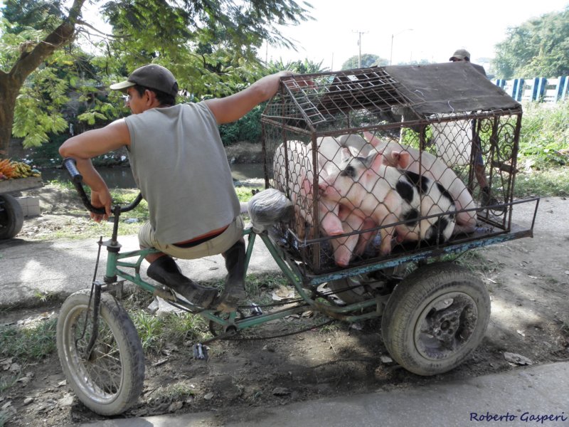 cuba201177.jpg