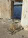 cuba2011249_small.jpg
