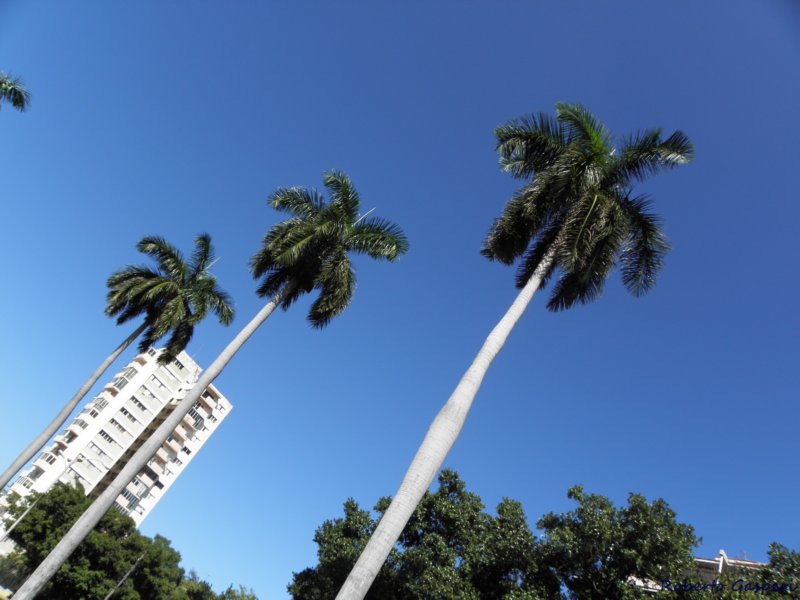 cuba2011308.jpg