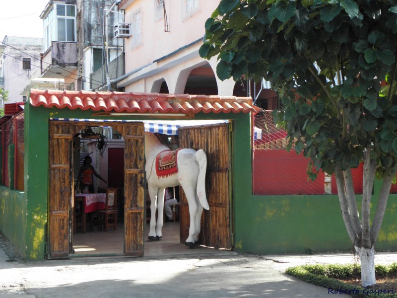 cuba2011315.jpg