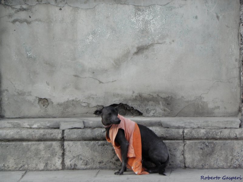 cuba2011333.jpg