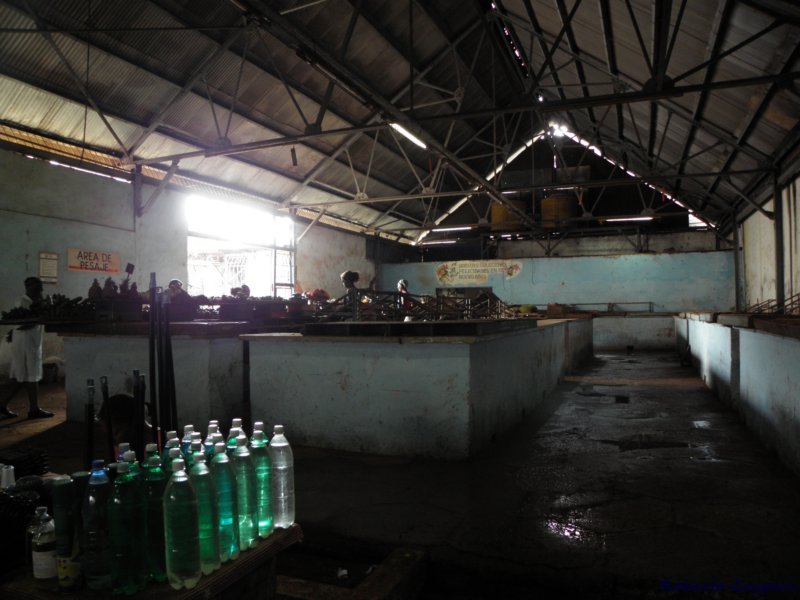 cuba201165.jpg