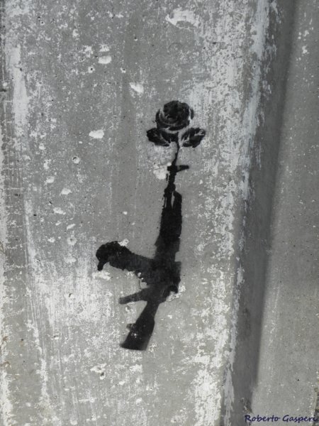 cuba201147.jpg