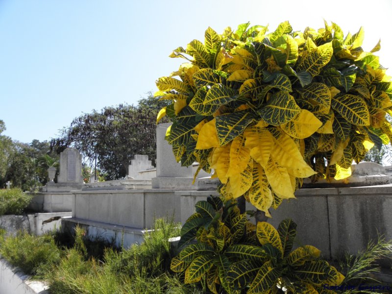 cuba201132.jpg