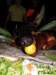 cuba2011105_small.jpg