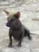 cuba201125_small.jpg