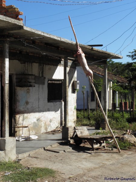 cuba201164.jpg