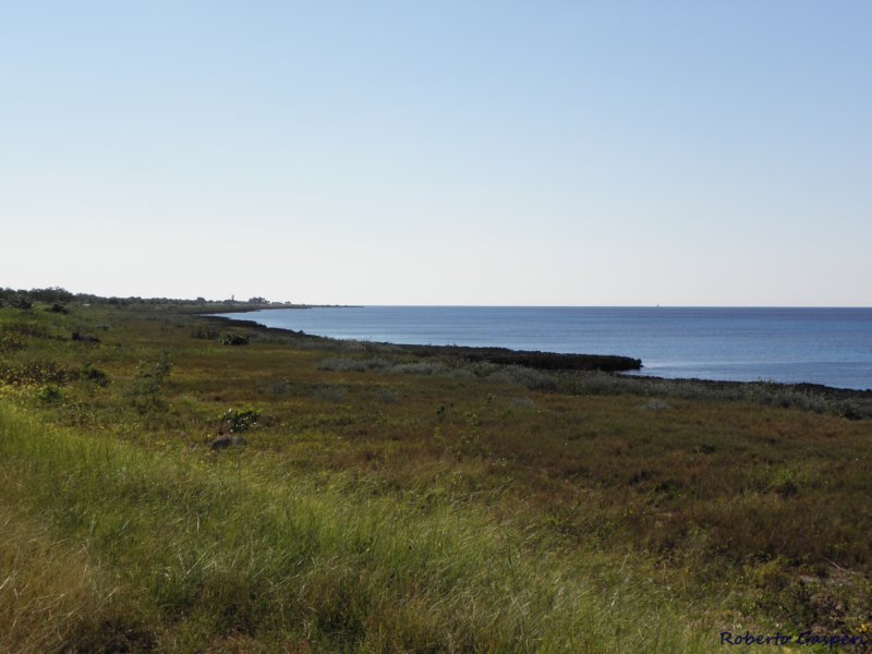 cuba201167.jpg