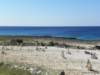 cuba201170_small.jpg