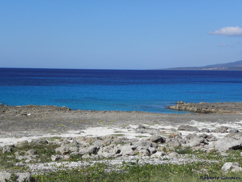 cuba201173.jpg
