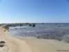 cuba201176_small.jpg