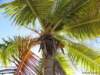 cuba201179_small.jpg