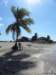 cuba201180_small.jpg