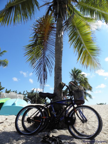 cuba201181.jpg