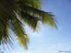 cuba201188_small.jpg