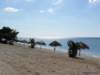 cuba201192_small.jpg