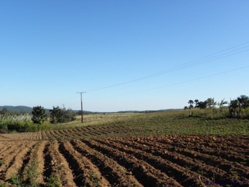 cuba201161.jpg